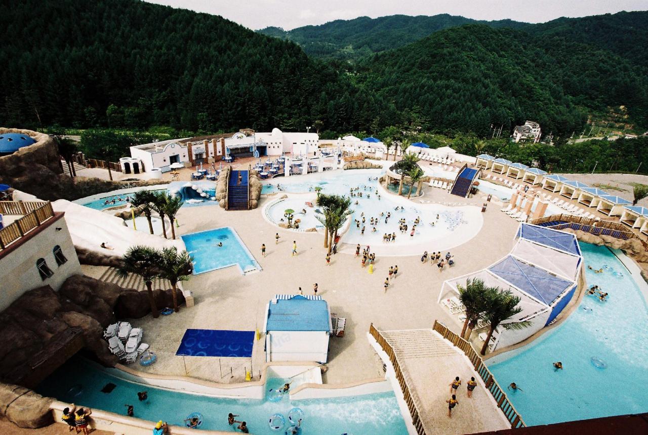 Phoenix Pyeongchang Condo