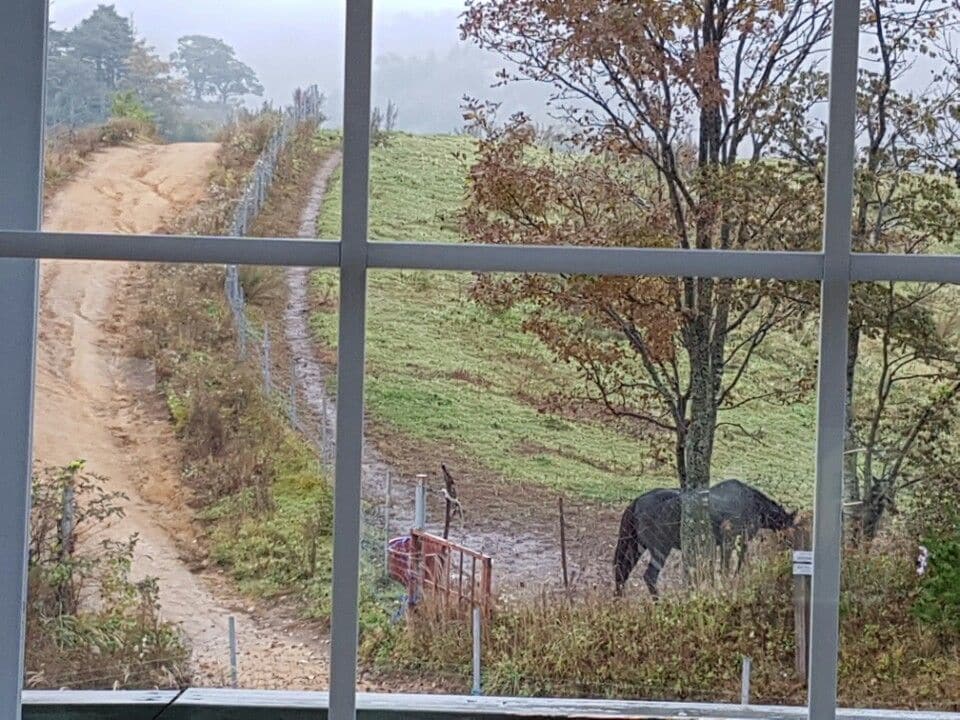 Pungcha & Herb Pension