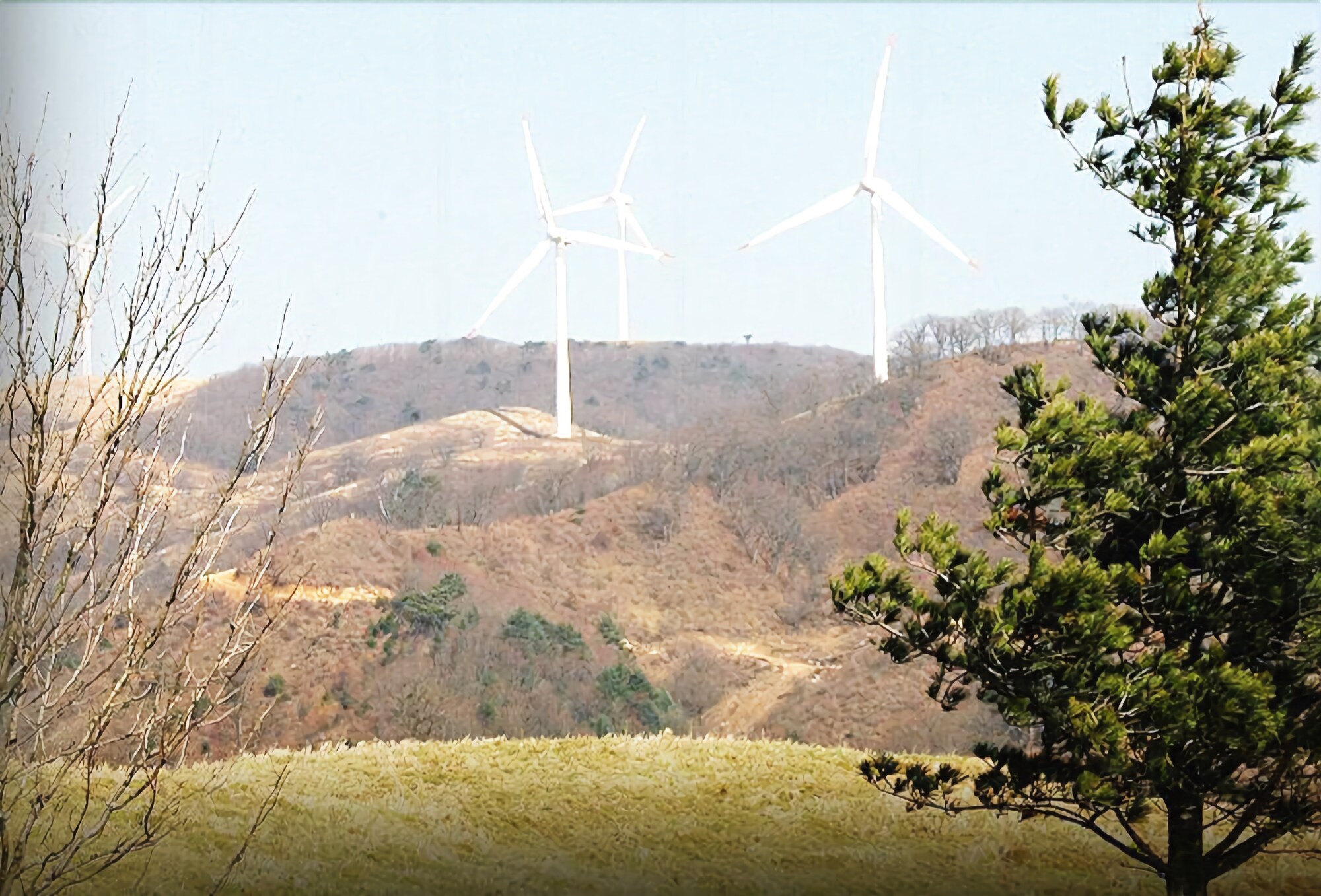 Pungcha & Herb Pension