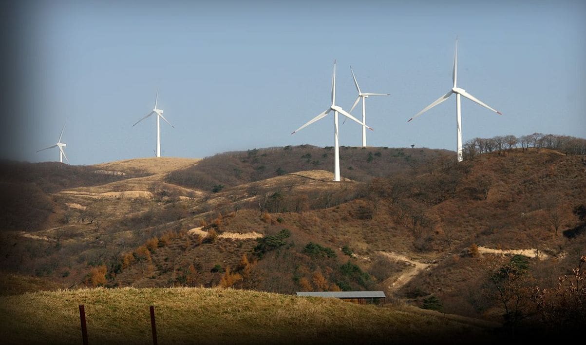 Pungcha & Herb Pension