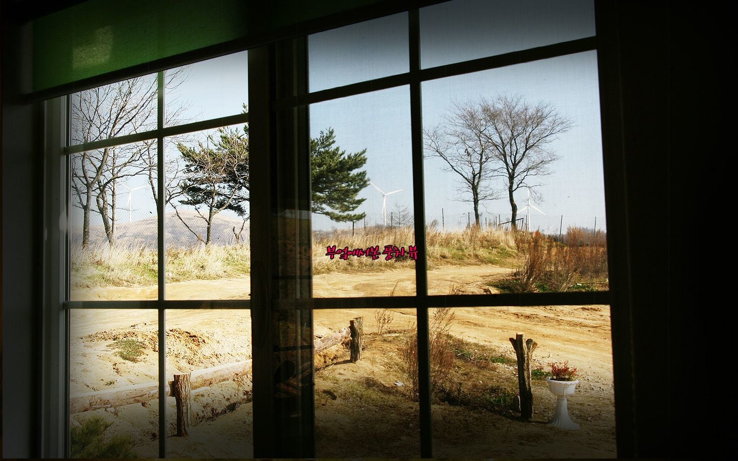 Pungcha & Herb Pension