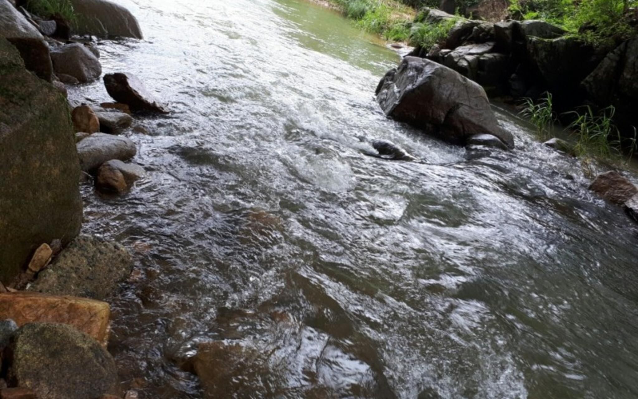 Pyeongchang Bongpyeong Moolsori Pension