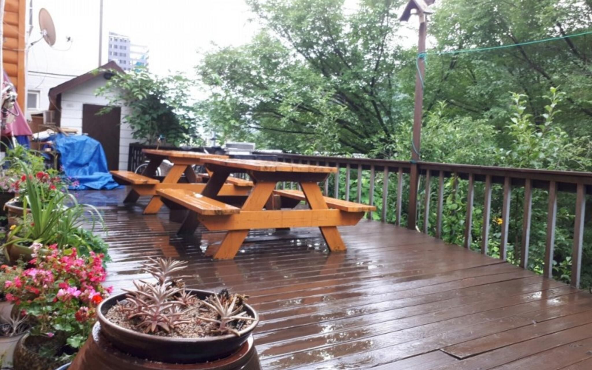 Pyeongchang Bongpyeong Moolsori Pension