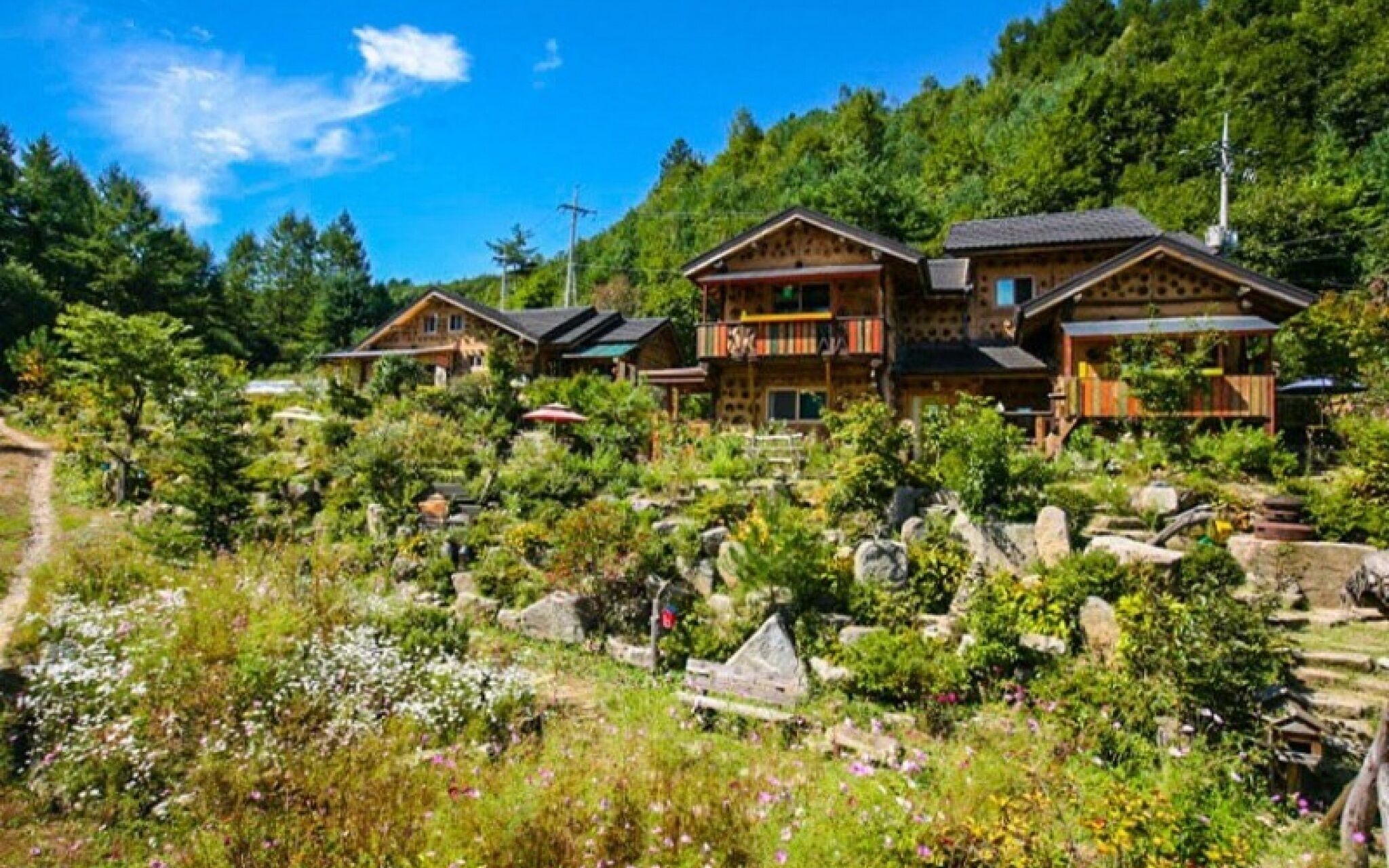 Pyeongchang Dolbaenamu Segeuru Pension