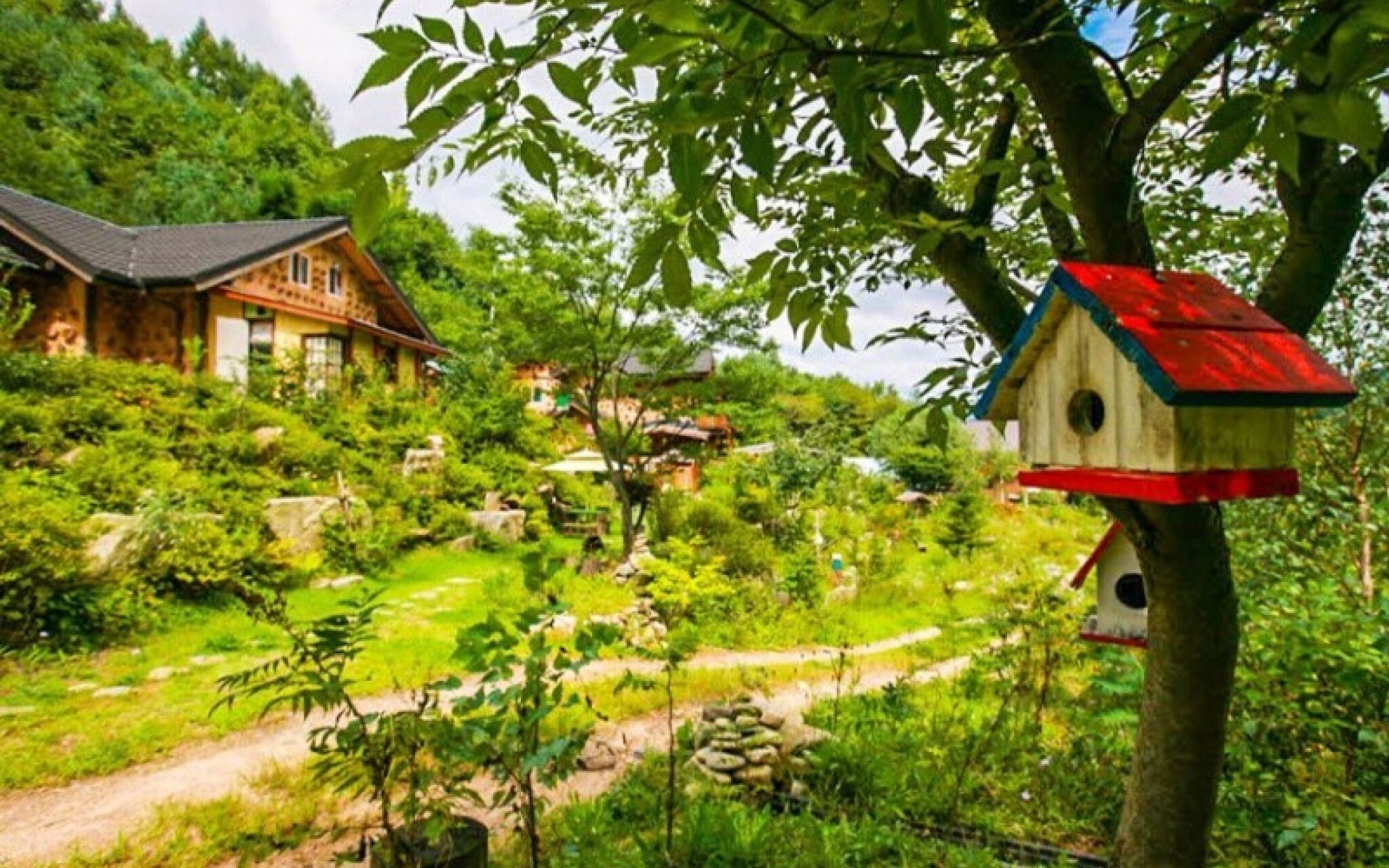 Pyeongchang Dolbaenamu Segeuru Pension