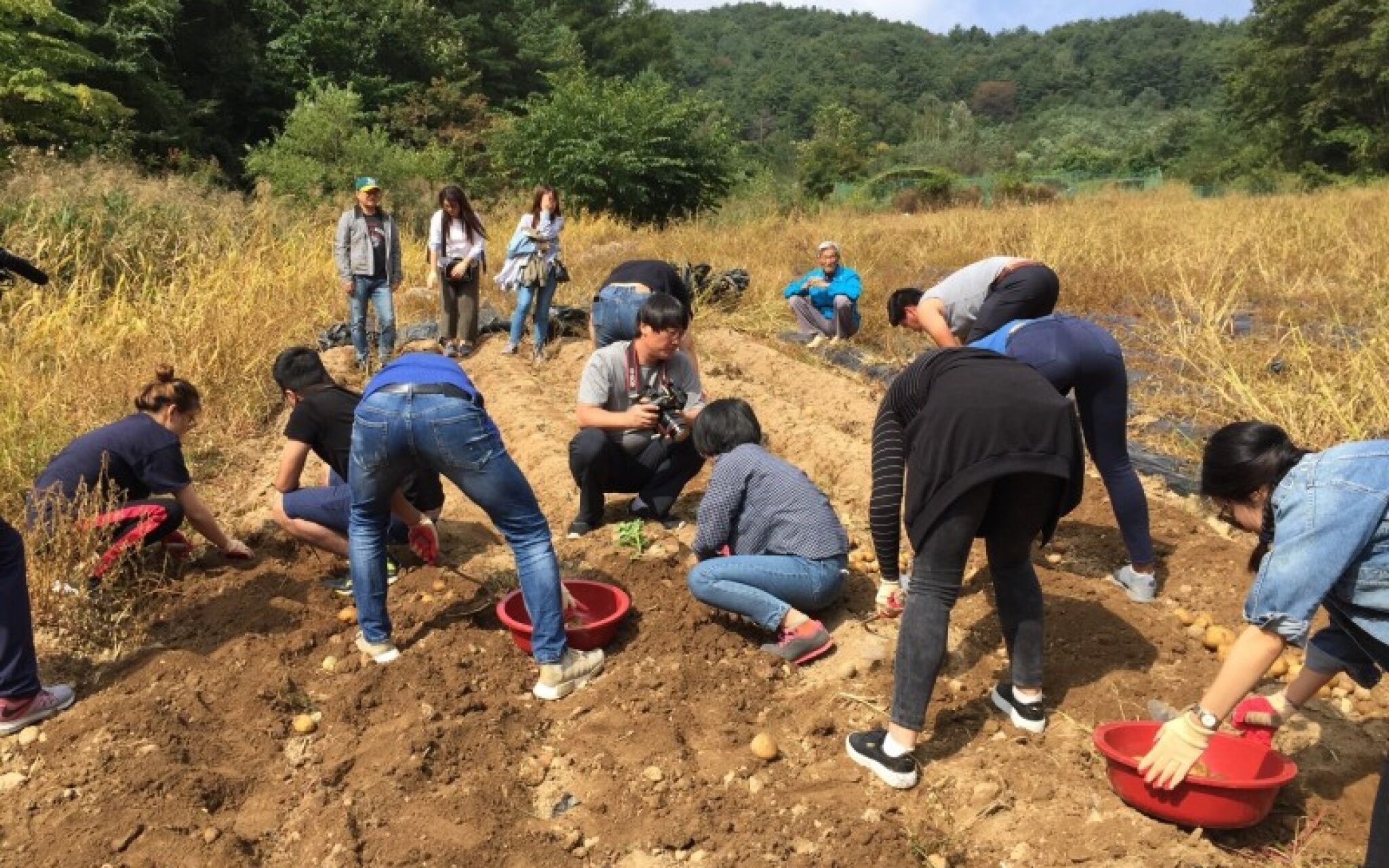 Pyeongchang Hwangtogudeulmaeul Pension