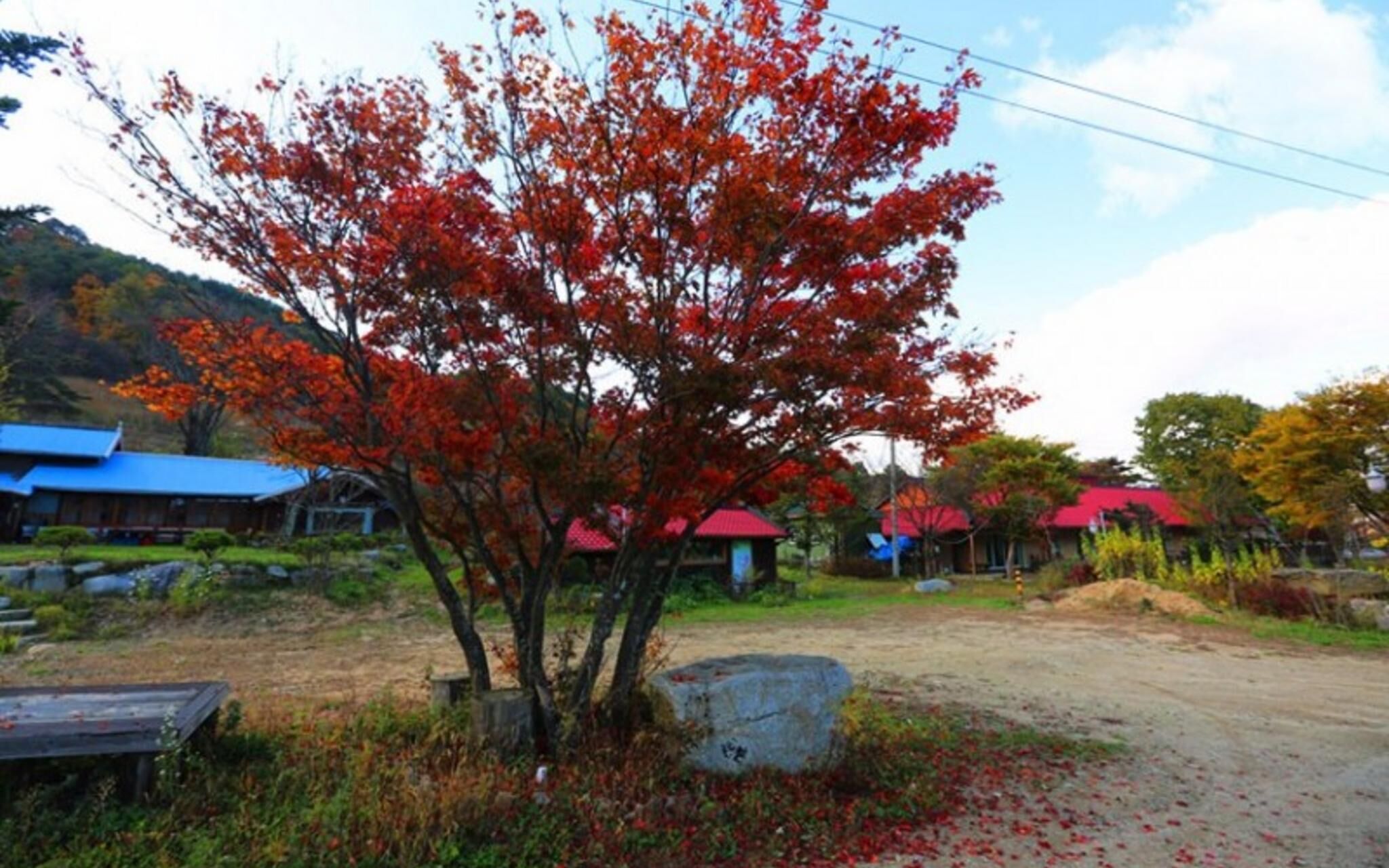 Pyeongchang Pyeongchang Pension Maeul