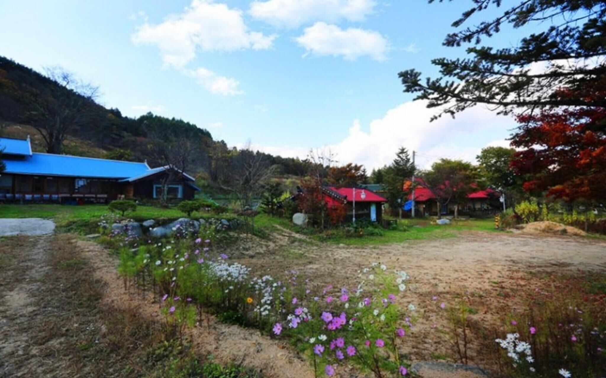 Pyeongchang Pyeongchang Pension Maeul