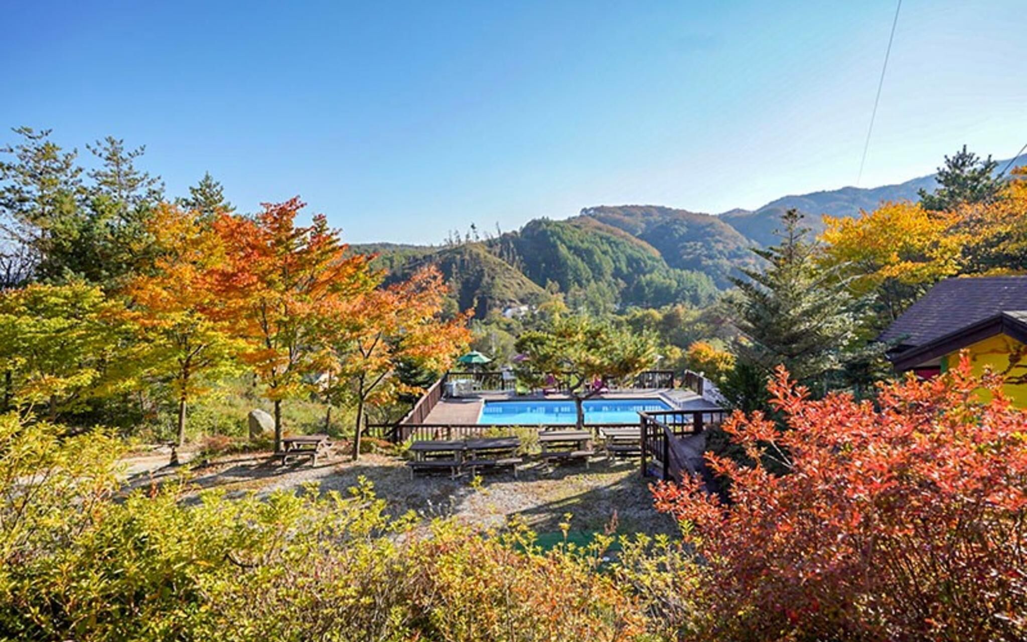 Pyeongchang Rocca and Delfino Pension