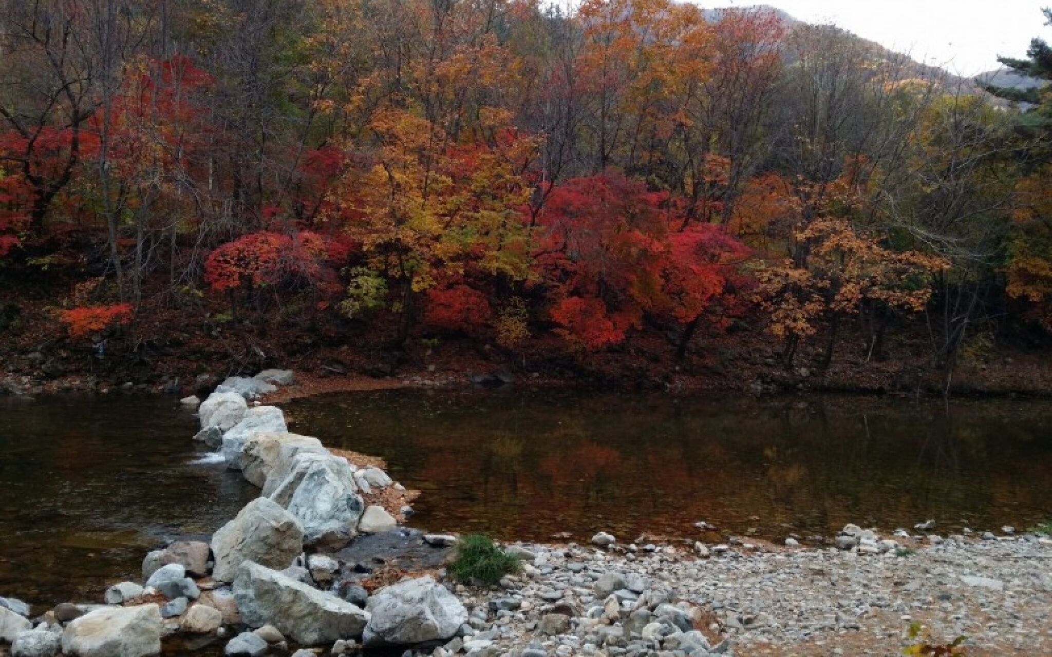 Pyeongchang Shim Pension