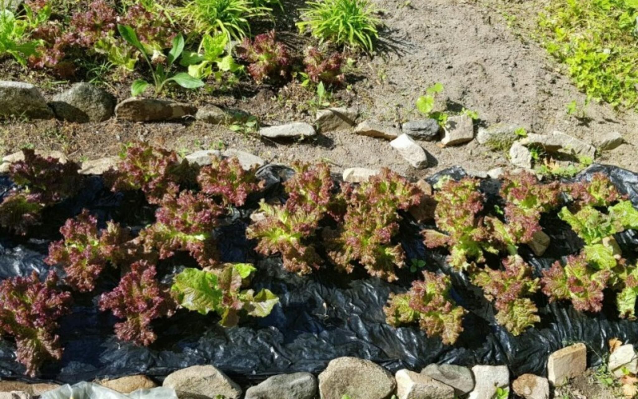 Pyeongchang Sugaseong Pension