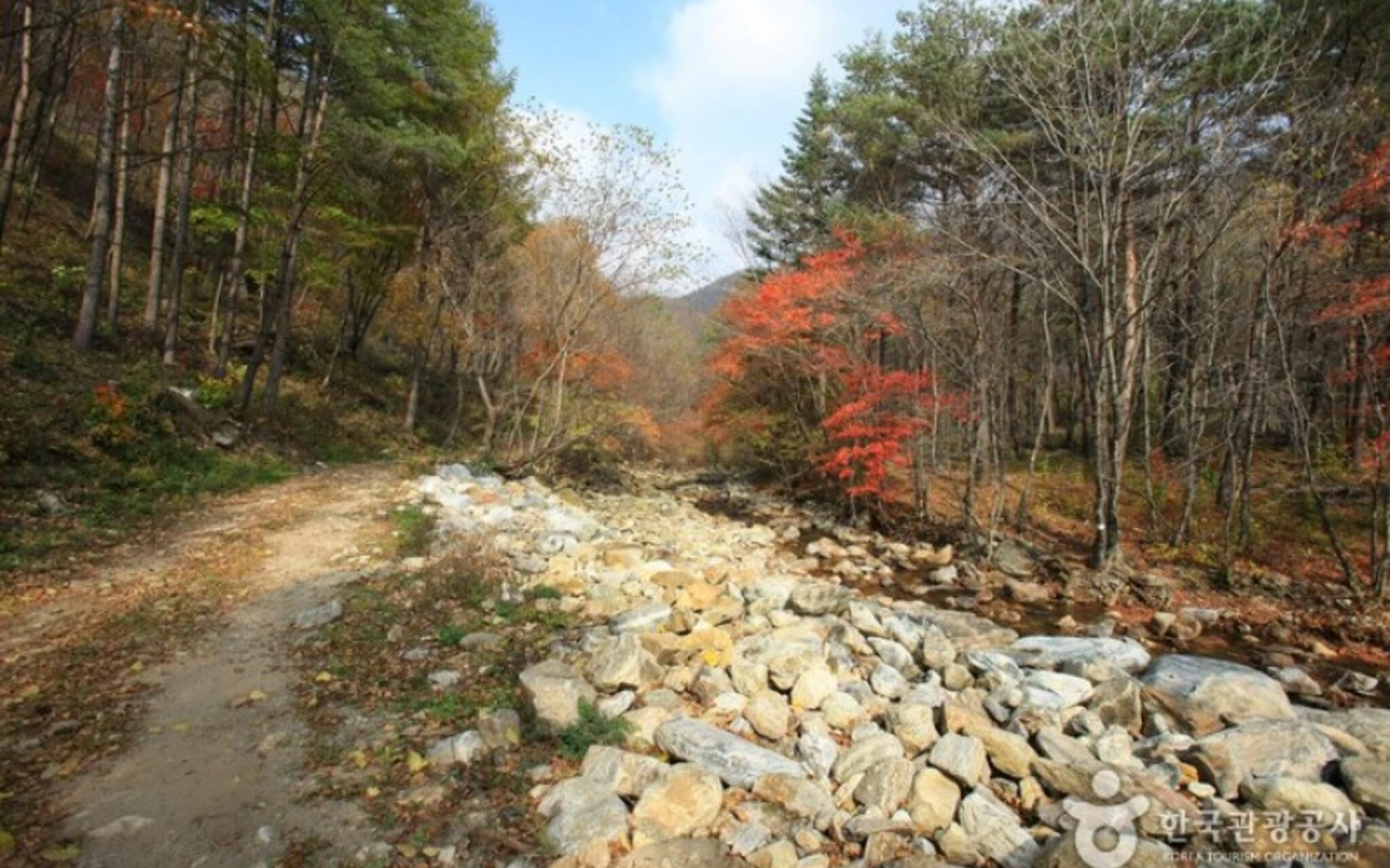 Pyeongchang Waltz in December Pension