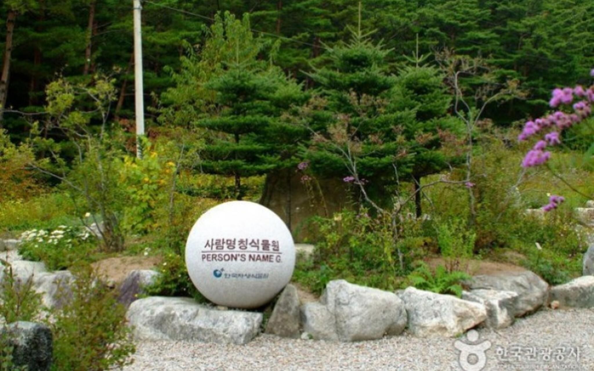 Pyeongchang Waltz in December Pension