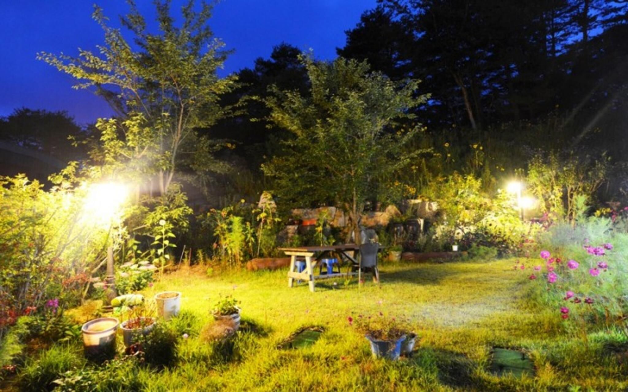 Pyeongchang Waltz in December Pension