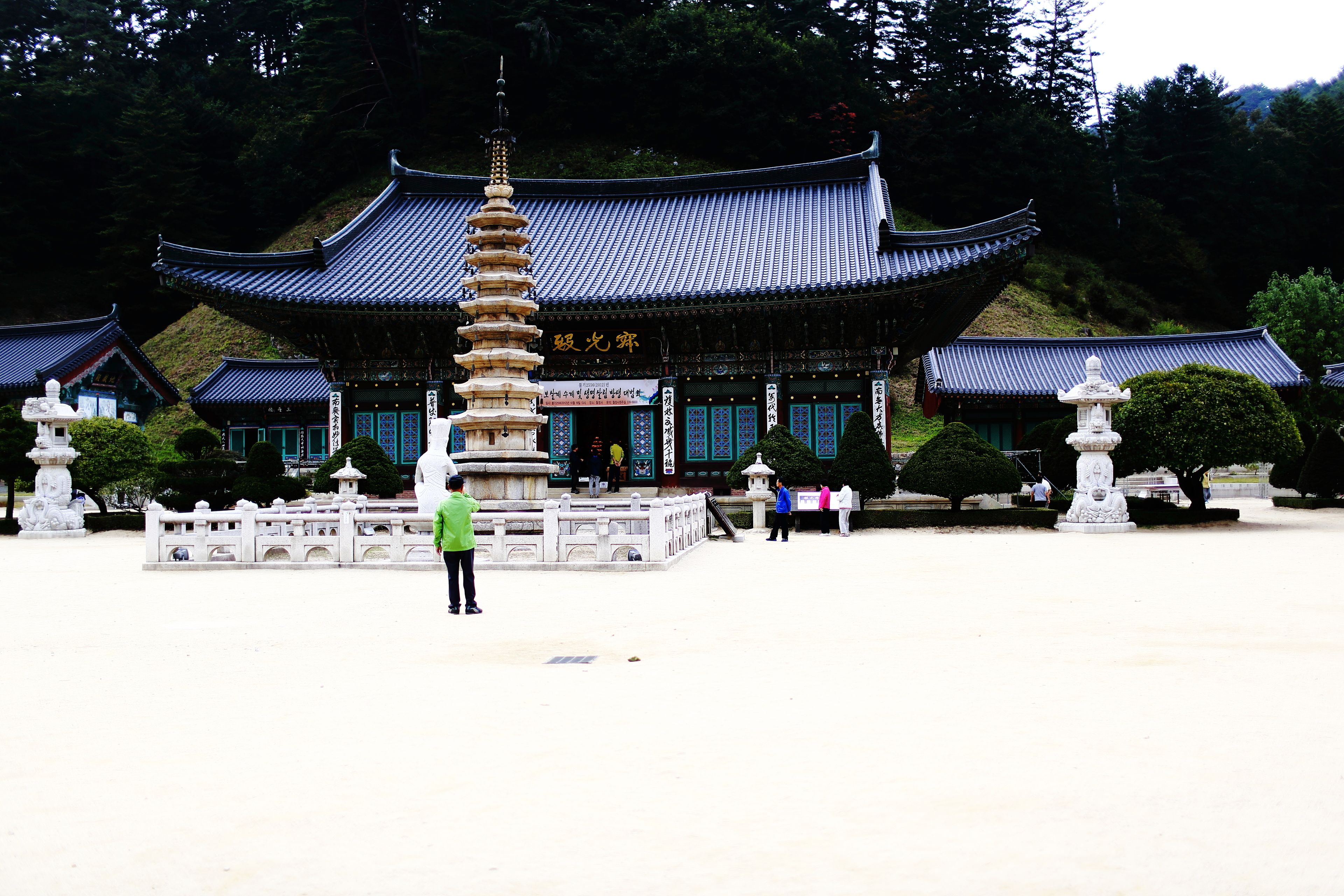 Rodem Tree Pension