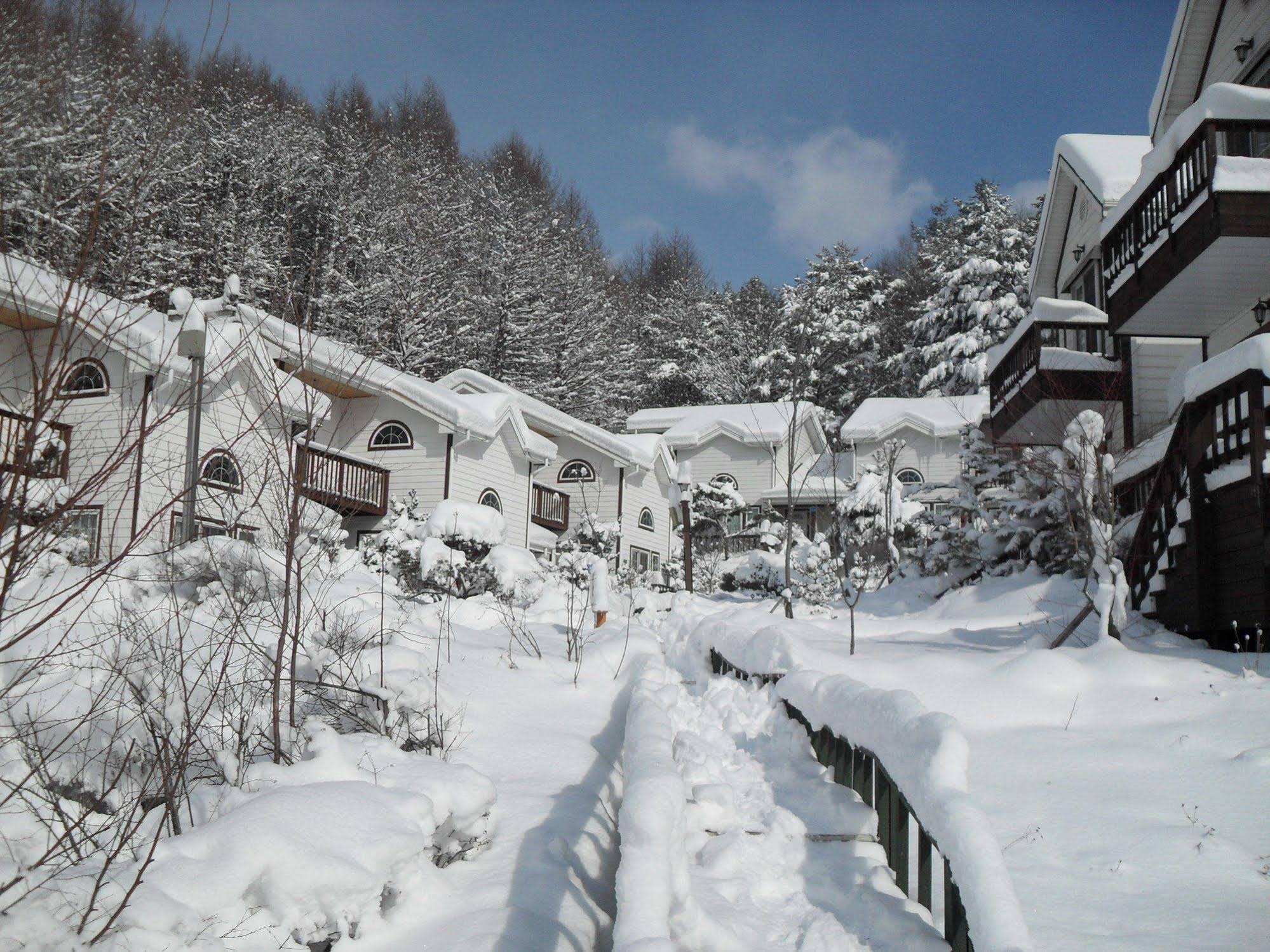 Swiss Pension