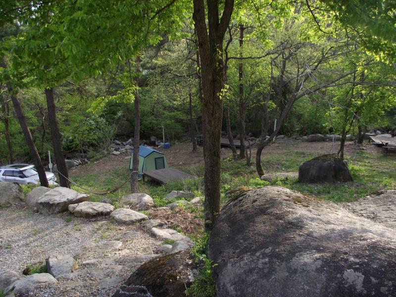 Taegi Valley Pension