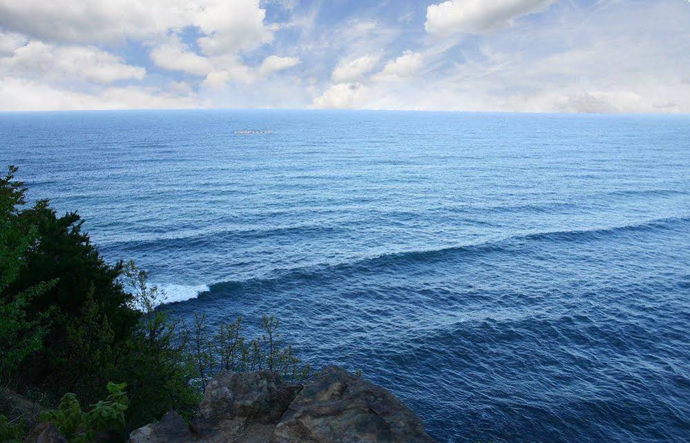 Daegwalnyeonng Wild Floaroma Pension