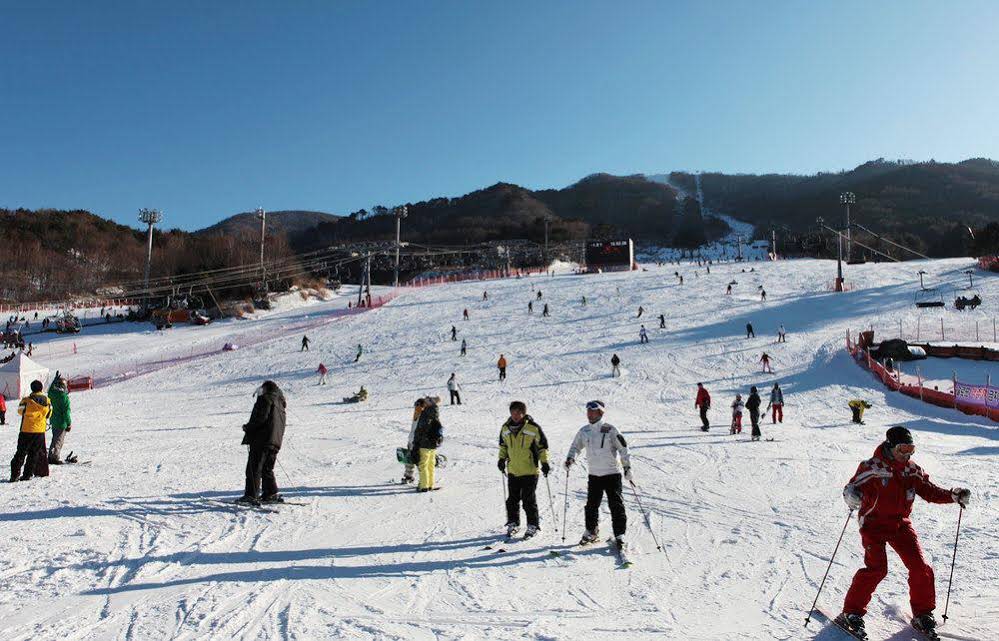 Daegwalnyeonng Wild Floaroma Pension