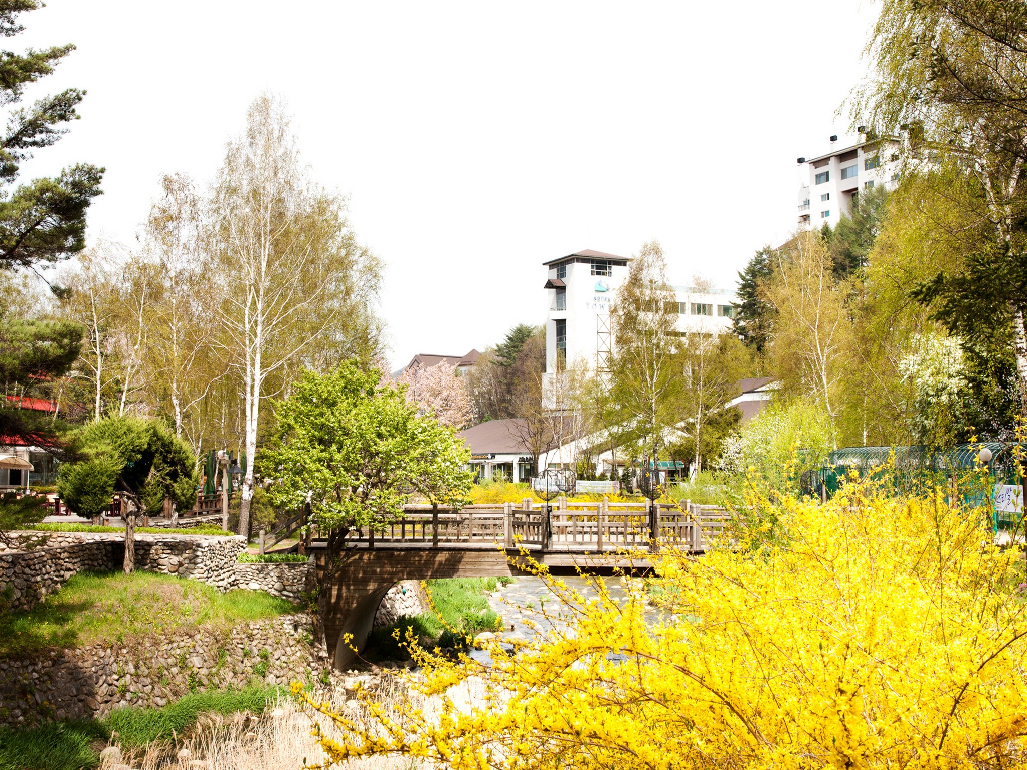 Yongpyong Resort