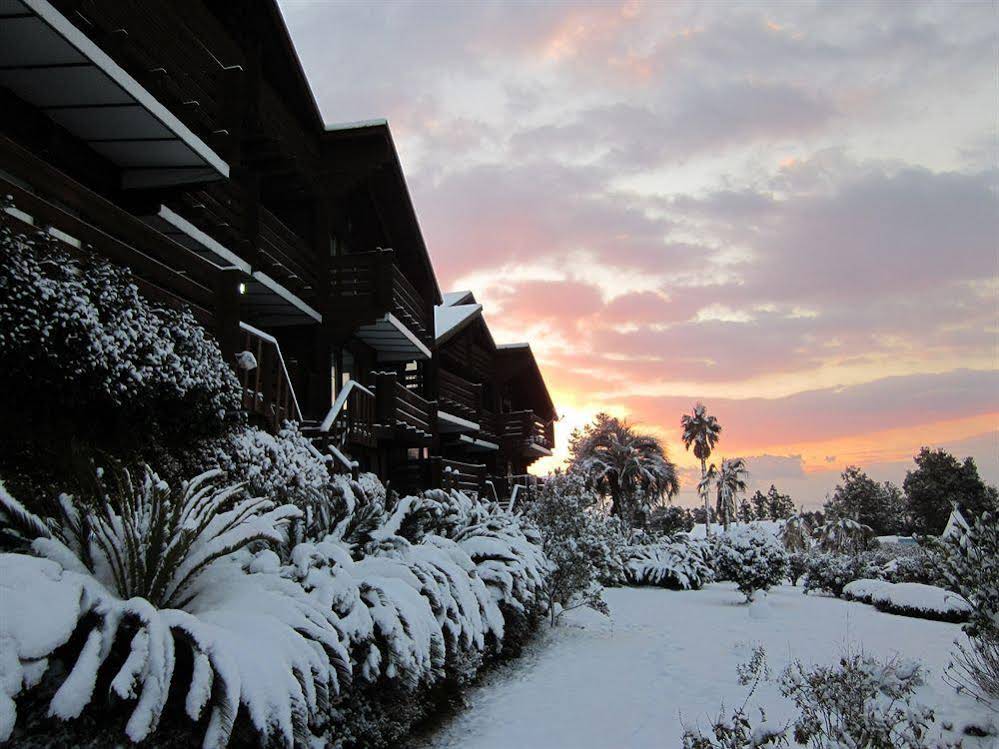 Breakfast at Tiffanys