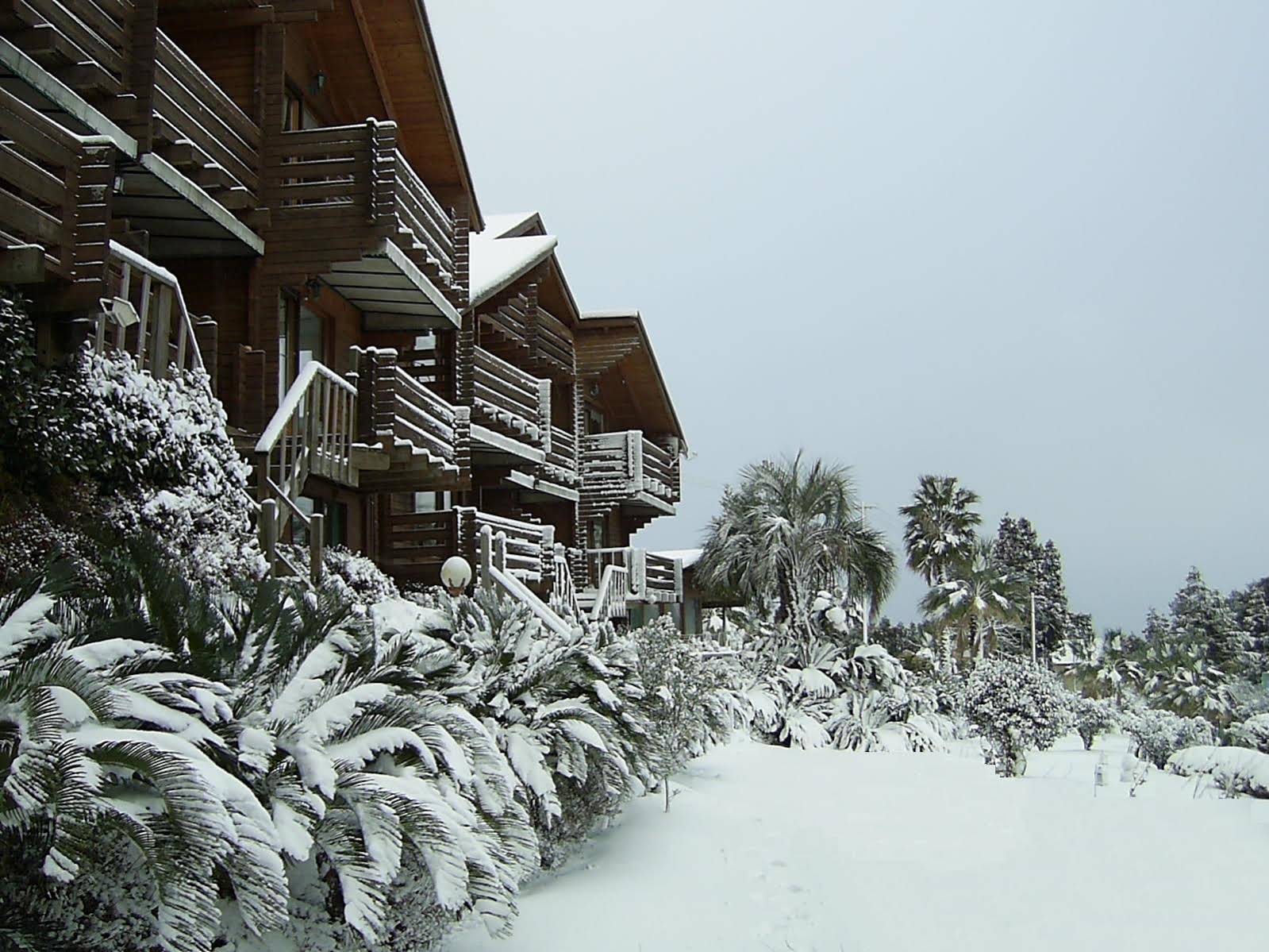 Breakfast at Tiffanys