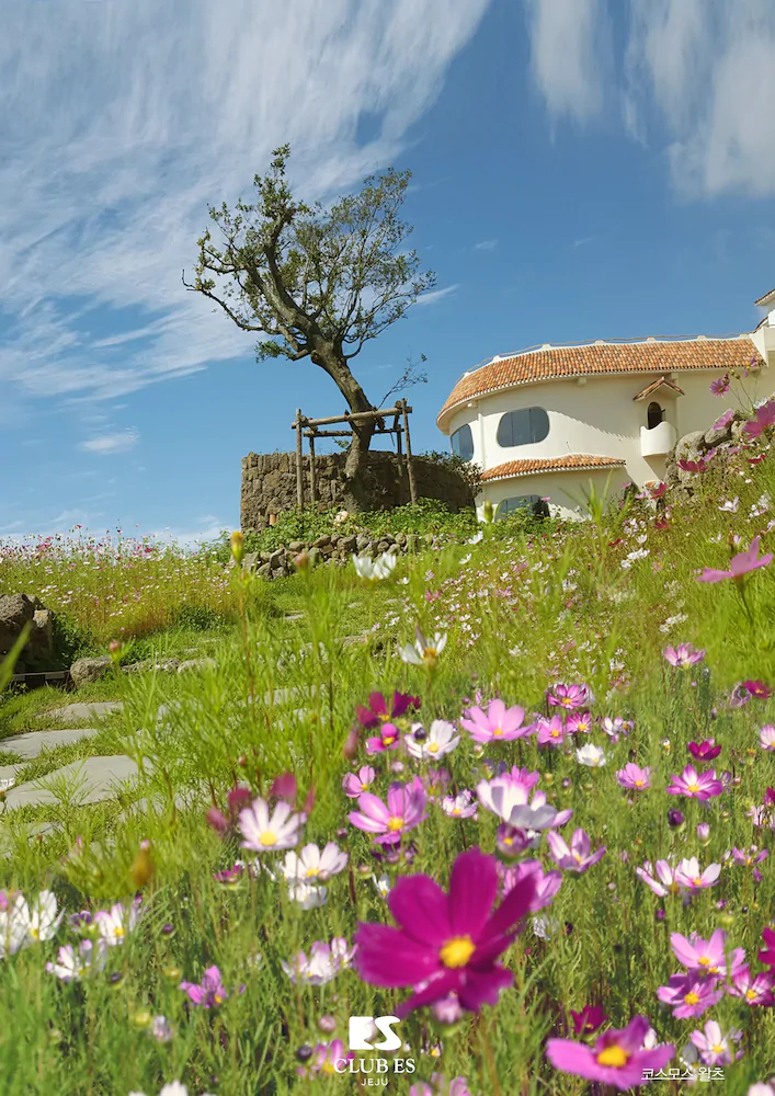 Club ES Jeju Resort
