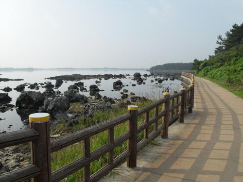 Healthcare Town Resort