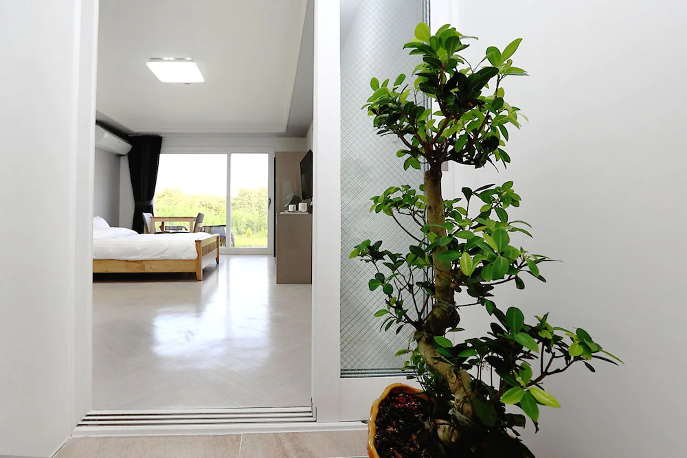 Horang Horang Pension