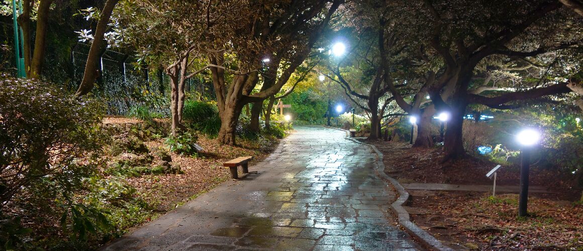 Hotel The Grang Seogwipo