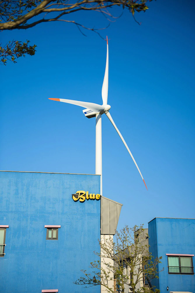 Jeju Blue & Sea