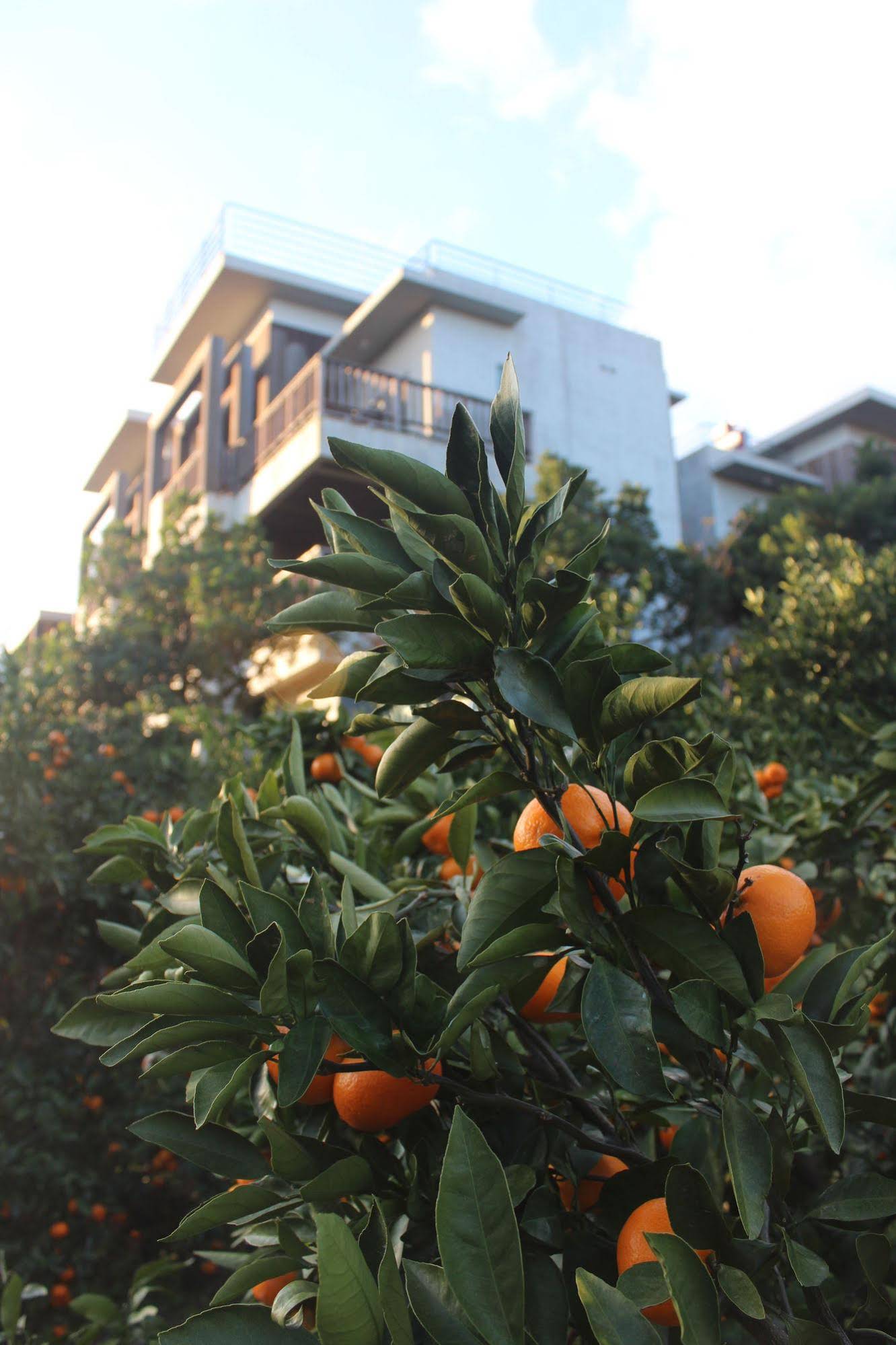 Jejueco Suites