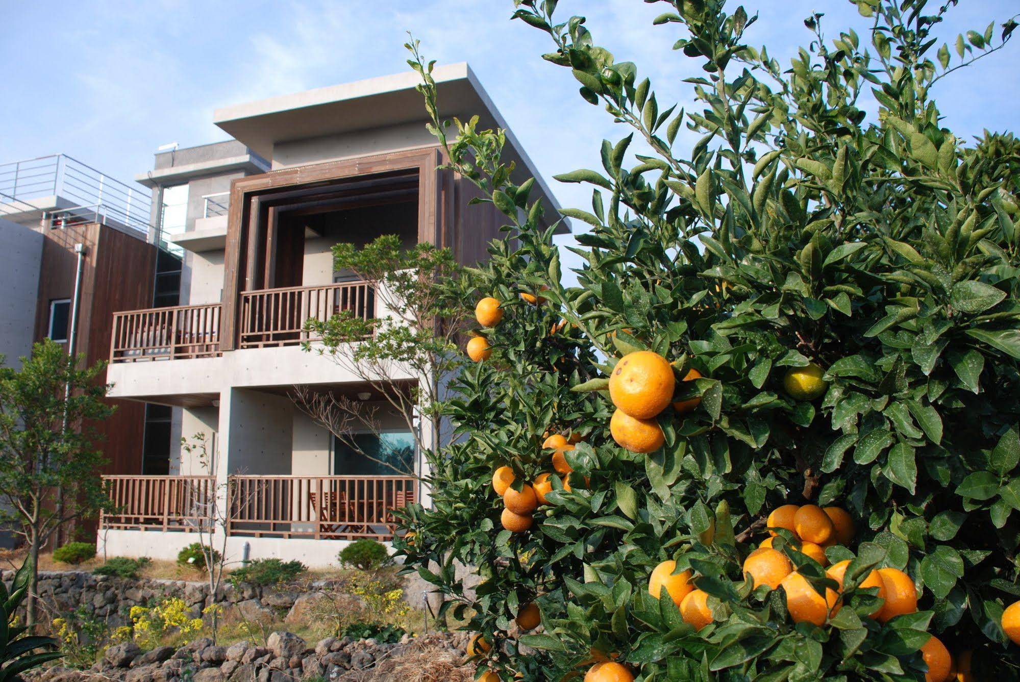 Jejueco Suites