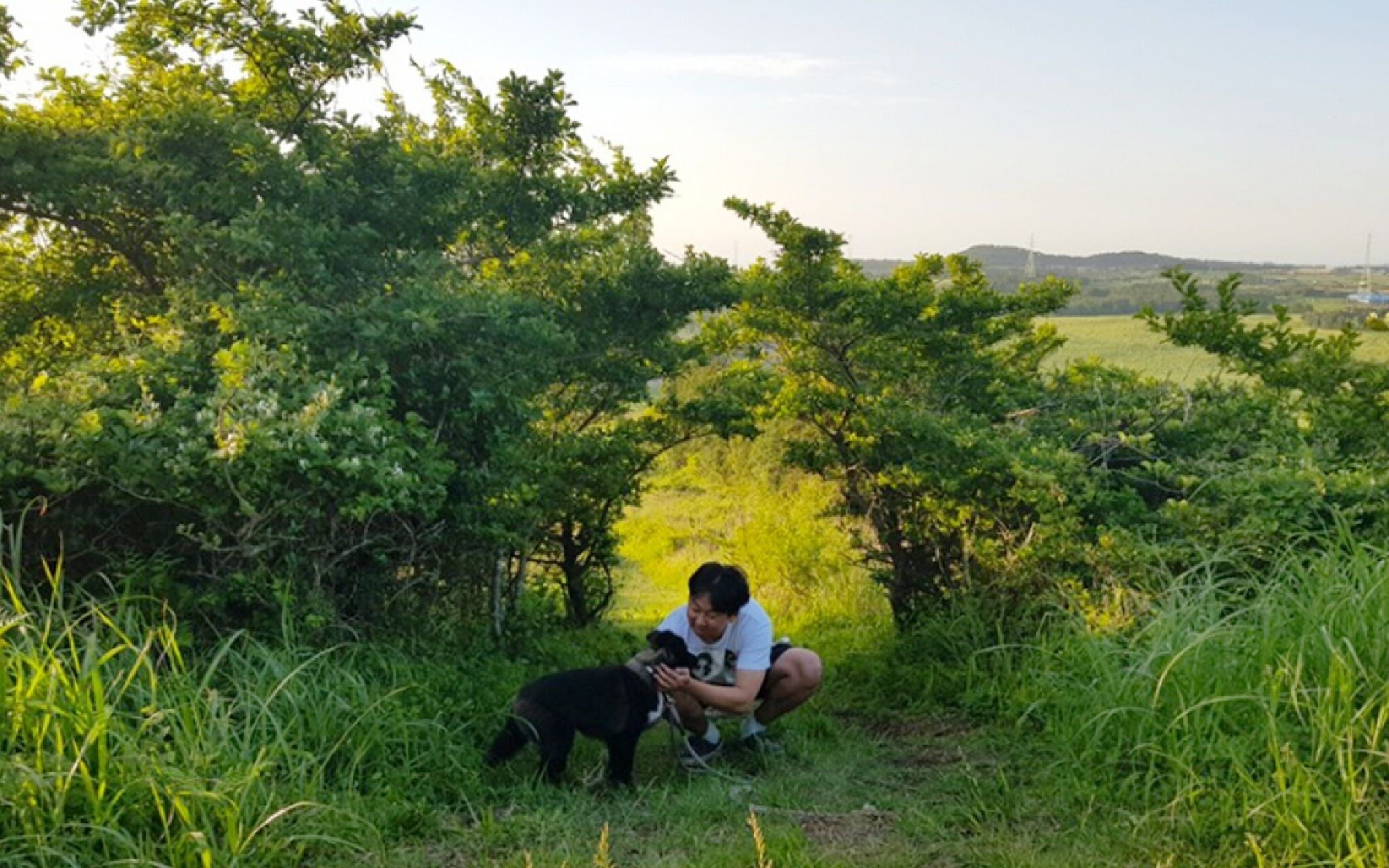 Jeju Joyonghan Guest House Sanbangsan