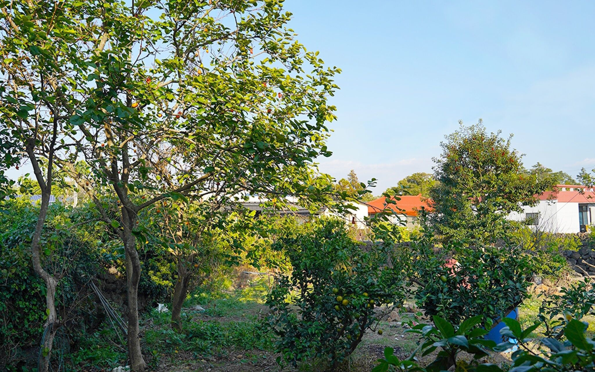 Jeju Joyonghan Guest House Sanbangsan