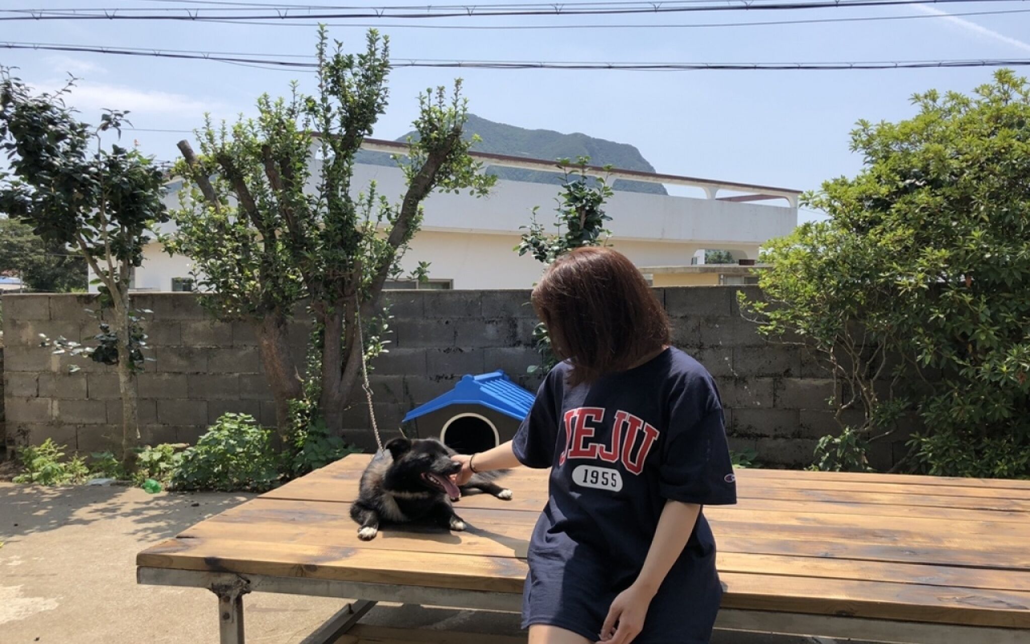 Jeju Joyonghan Guest House Sanbangsan