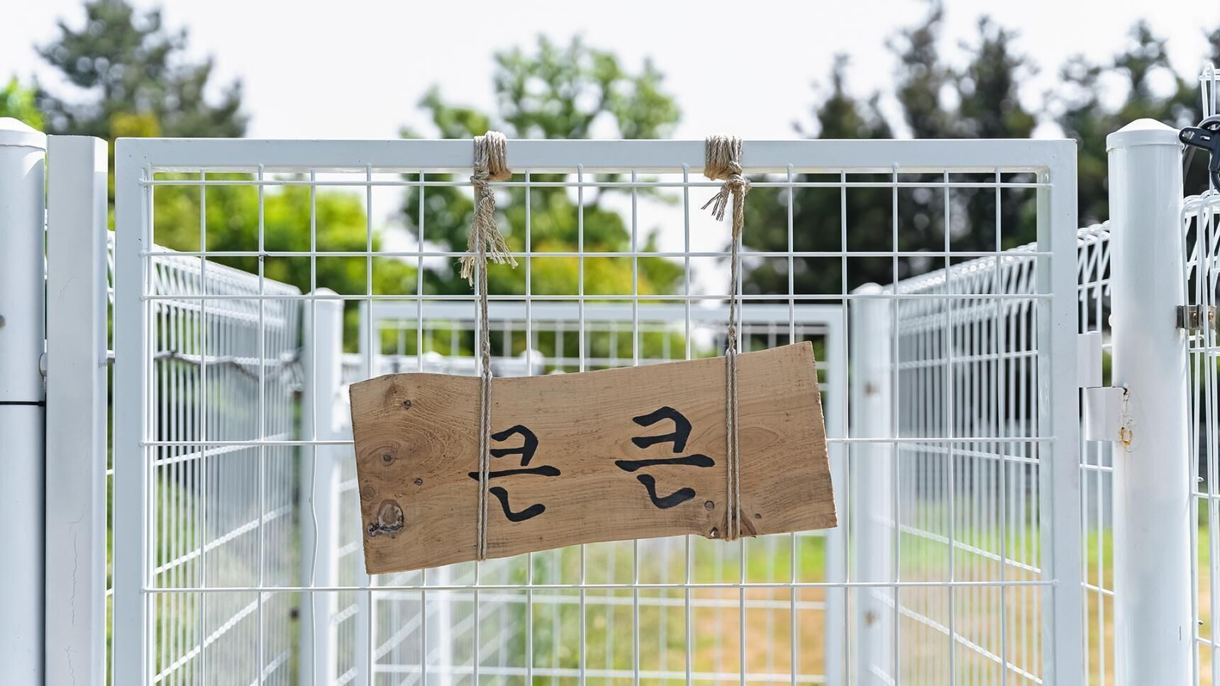 Jeju Maru Hotel & Cafe