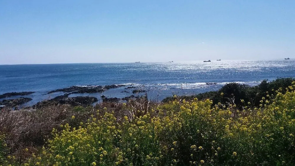 Jeju Pension Yere