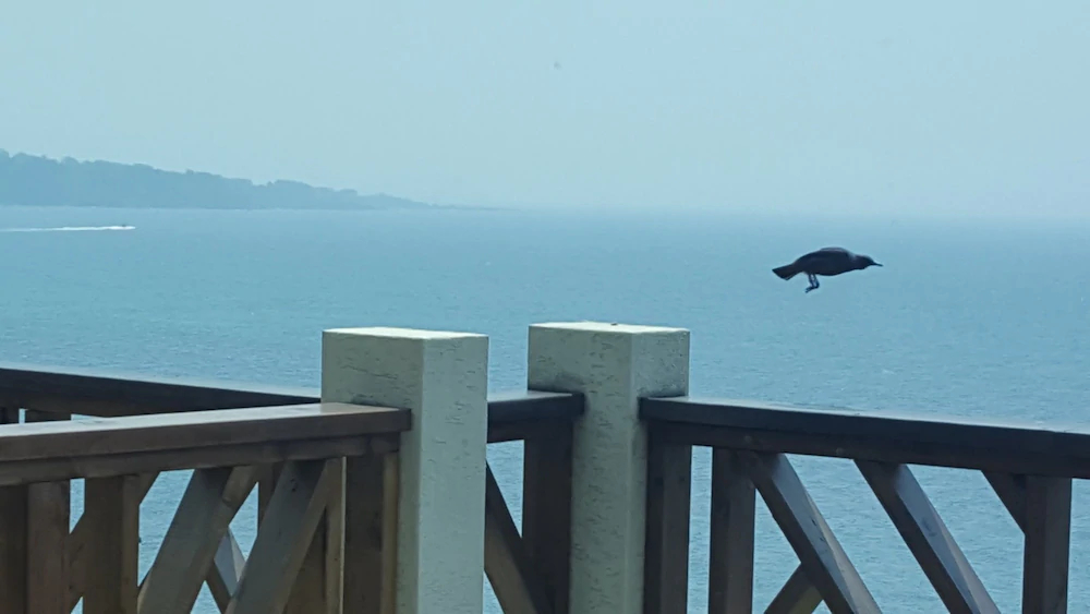 Jeju Pension Yere