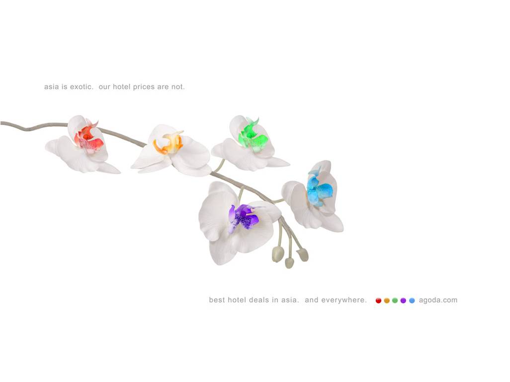 Jeju Stay in Sungsan