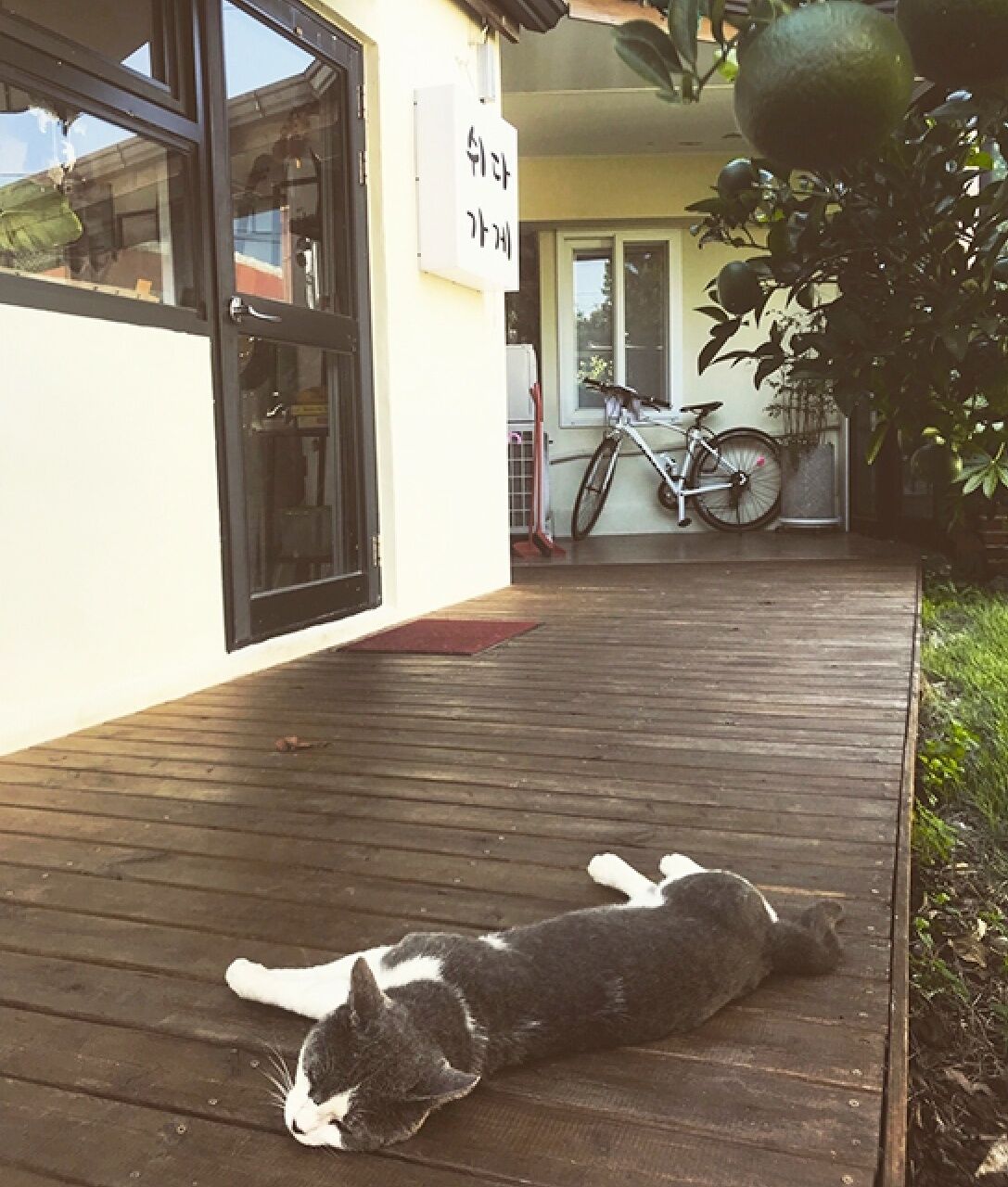 Jejuswidagageyguest House