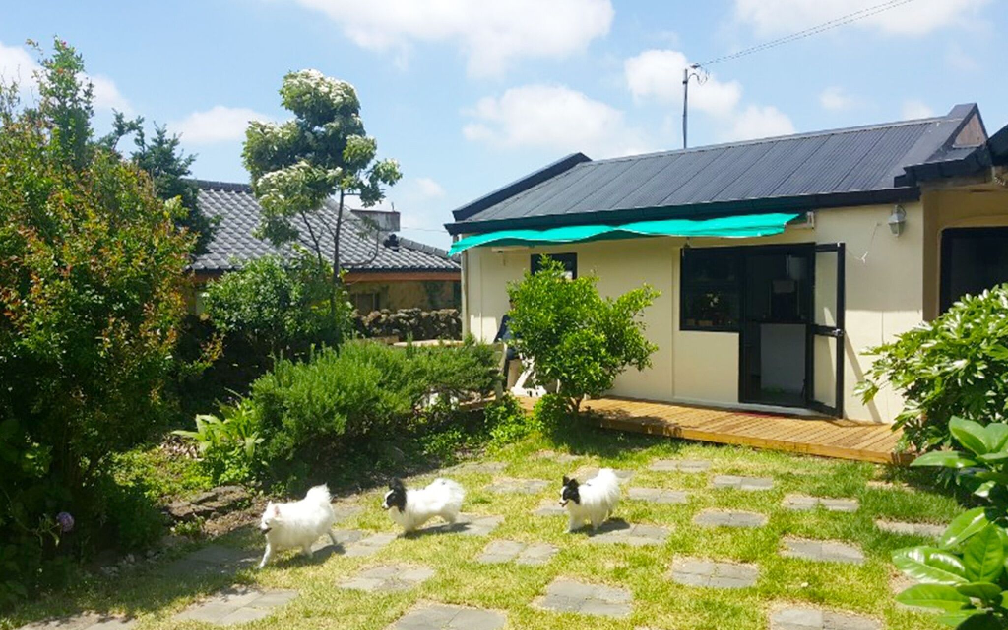 Jejuswidagageyguest House