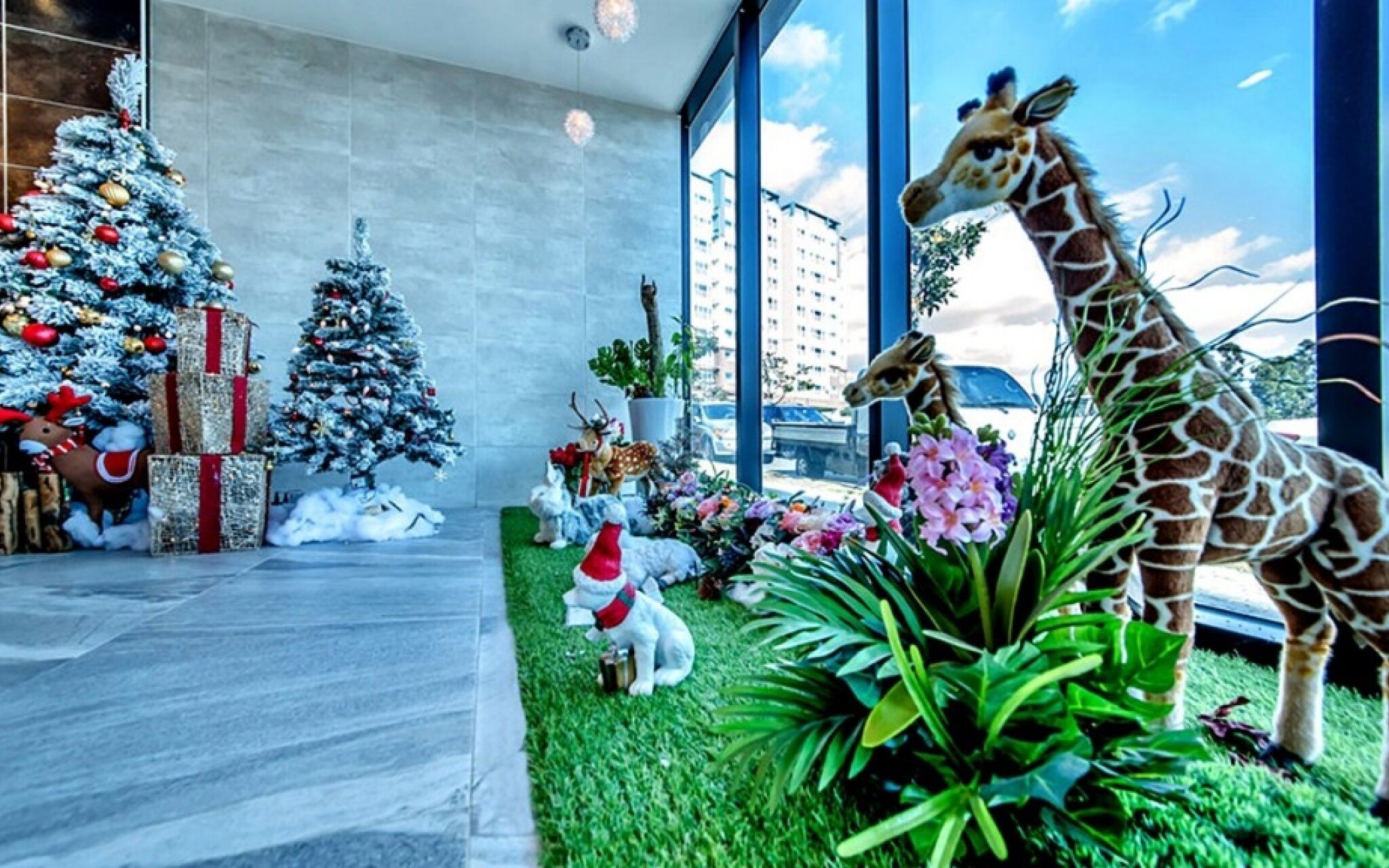 J Hill Hotel Jeju