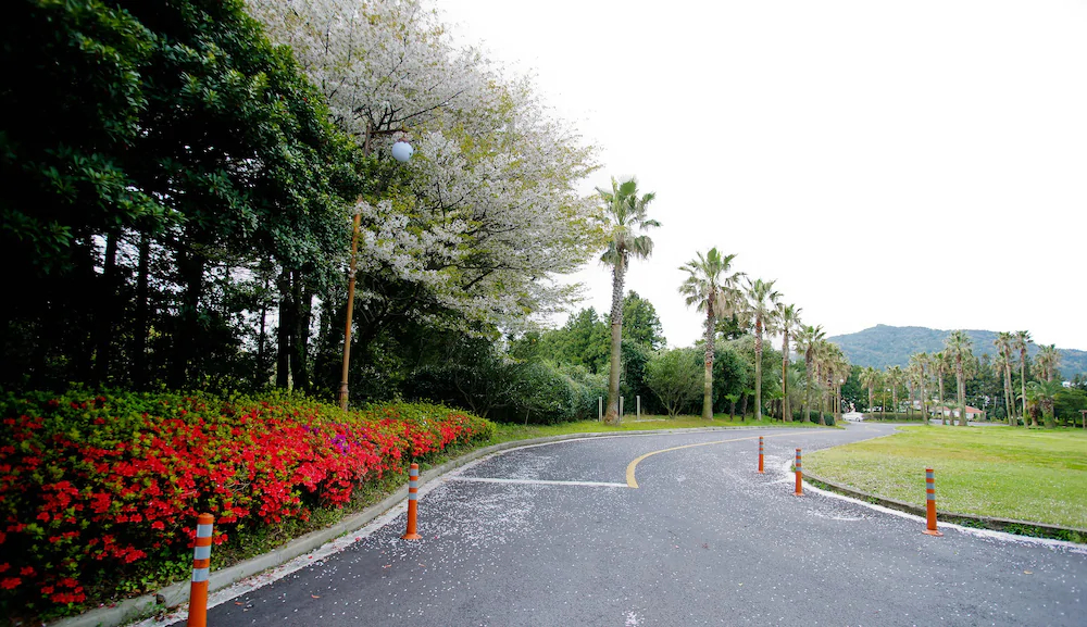 Lake Hills Resort Jeju