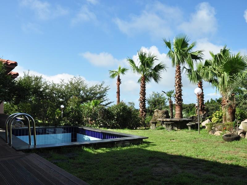 Palm Valley Resort