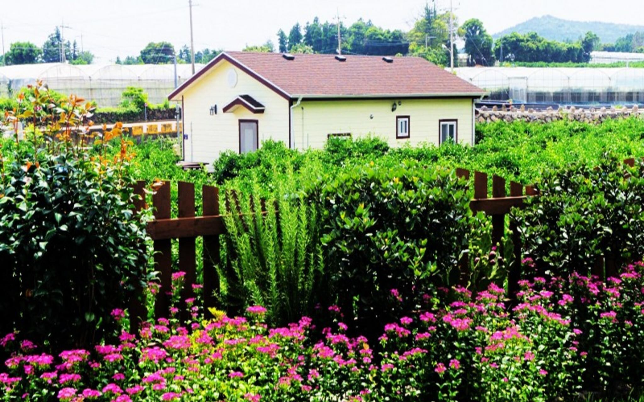 Seoguipo Lucky Clover Pension