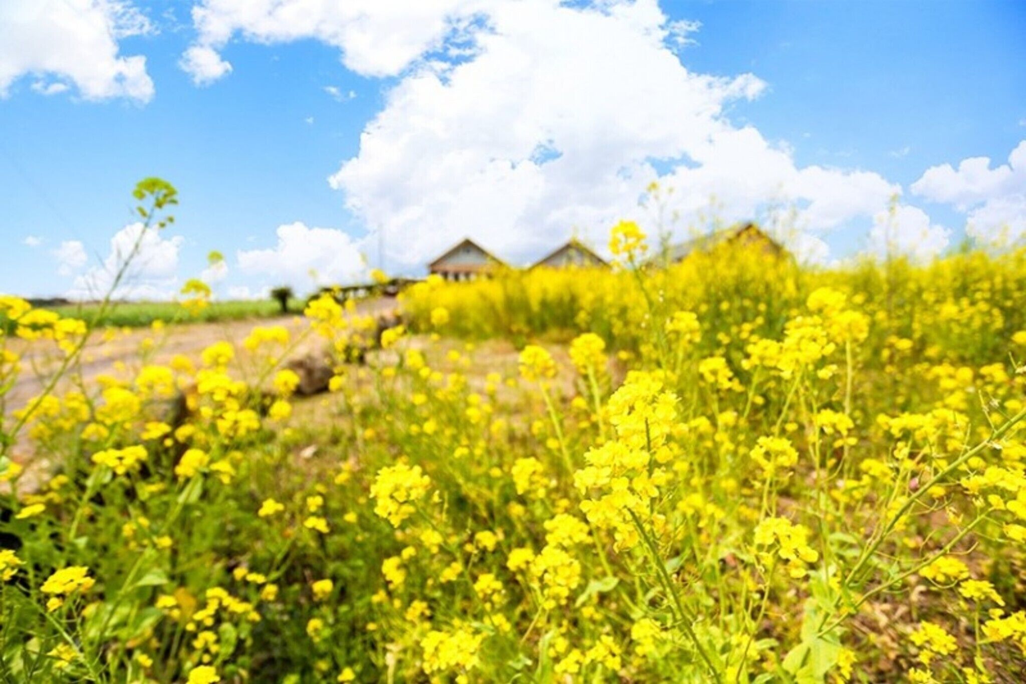 Seoguipo Umblanc Pension