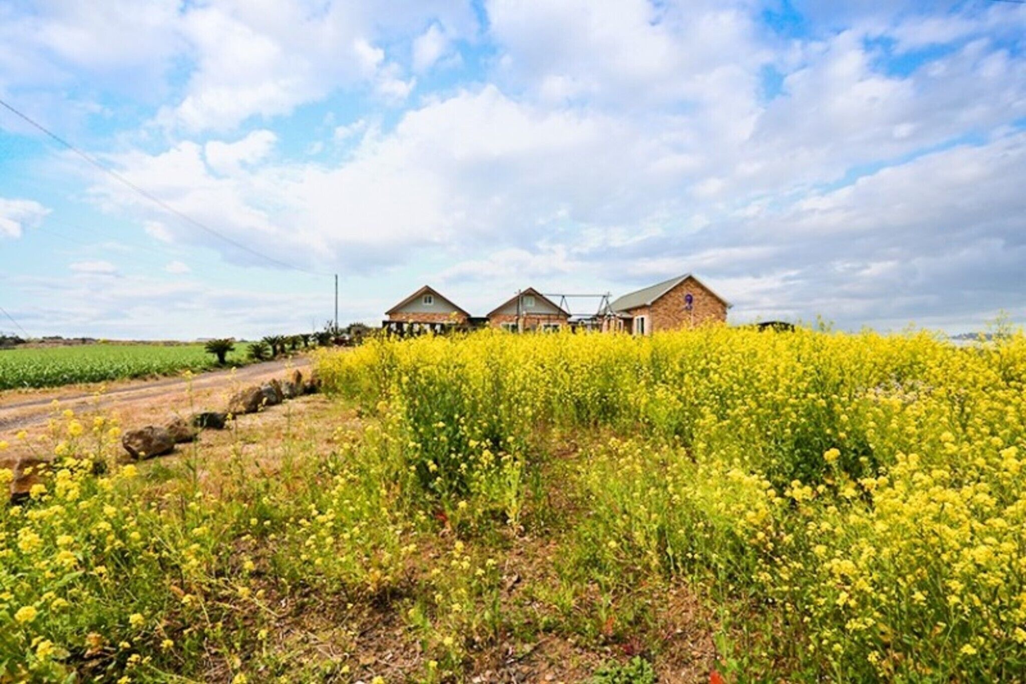 Seoguipo Umblanc Pension