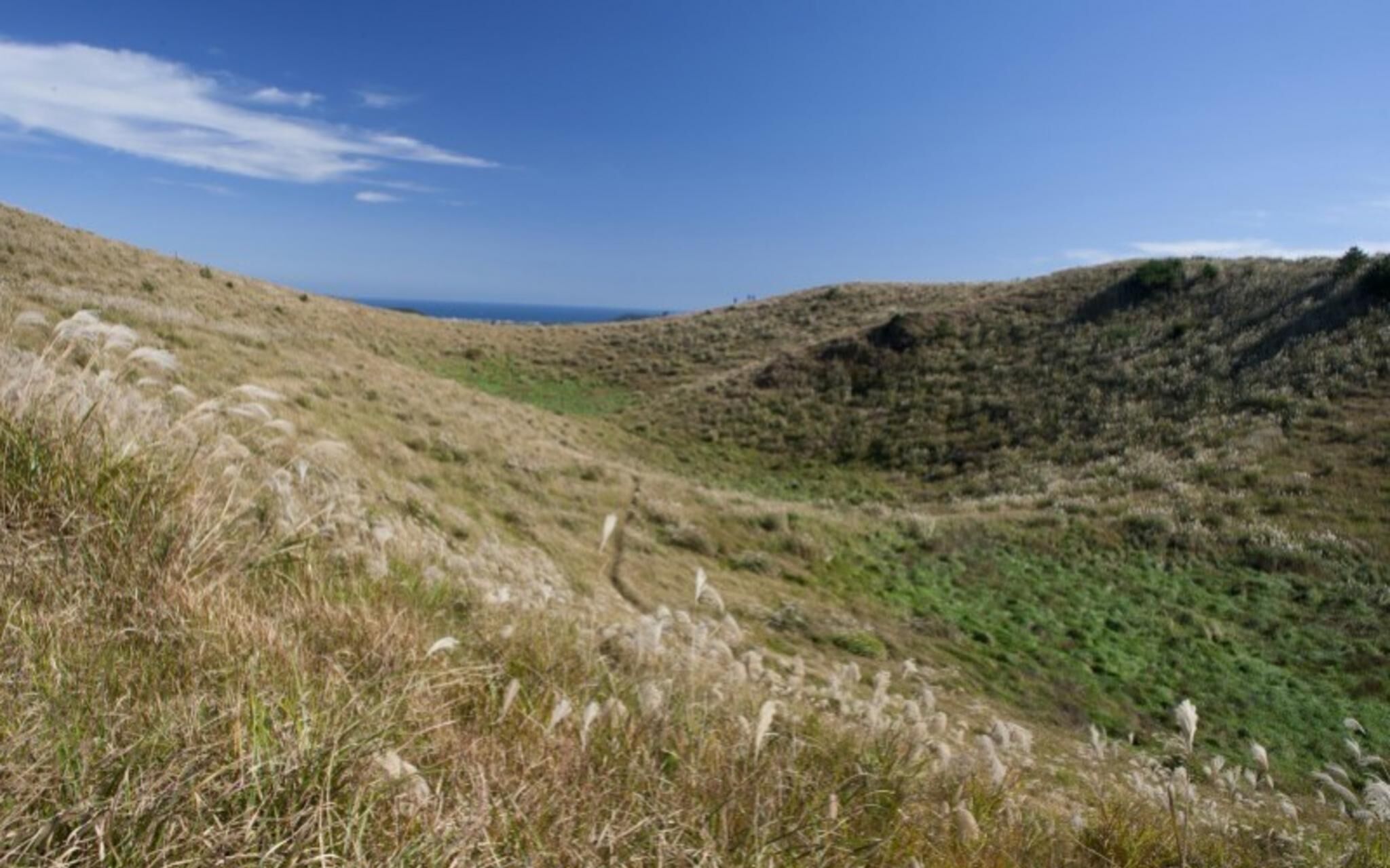 Seogwipo Bogeumji Pension