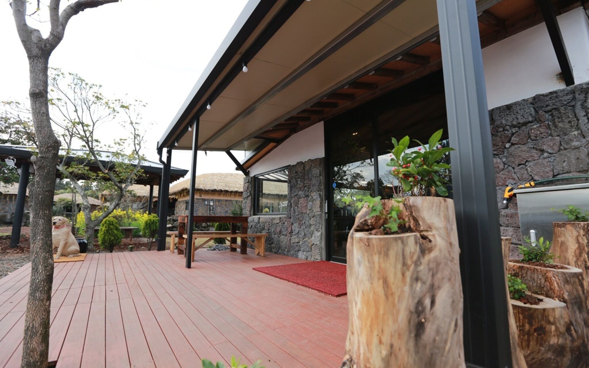 Seogwipo Chogain Inn Guest House